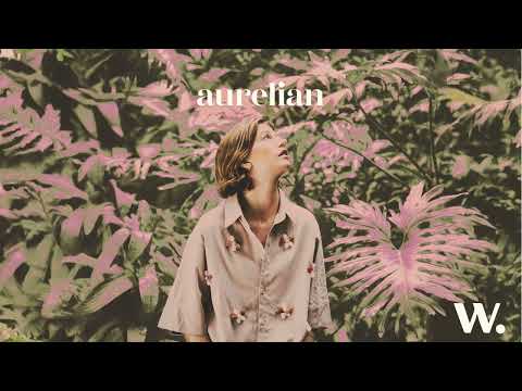 Wilhelmine - aurelian (Visualizer)