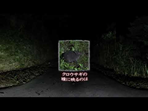 【夜の瞳】奄美大島VR動画