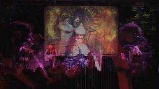 The Lady and the Unicorn by Woodland