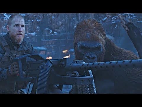 Final Battle Scene | War for the Planet of the Apes (2017)#LOWI