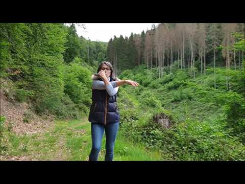 Senioren-Special, Koordination die 8.