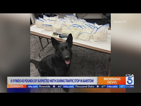 K-9 finds 46 pounds of meth during traffic stop in Barstow