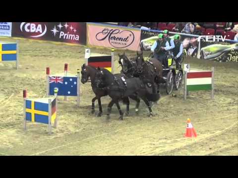 FEI World Cup™ Driving 2012/13 Budapest - Theo Timmerman 2nd Place