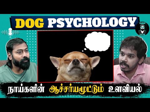 What Do Dogs Think? 🐕💭 - Tamil podcast | Ft. Paari Saalan | Varun talks