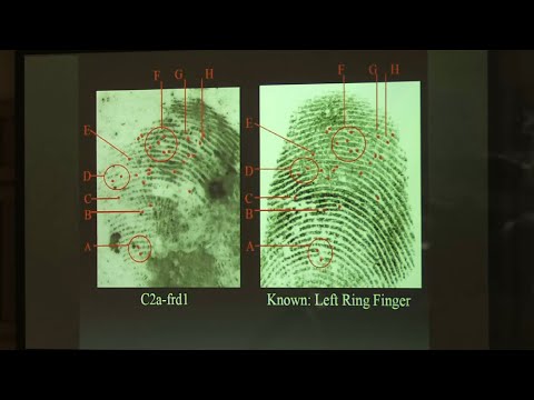 Day 7 of the Chandler Halderson homicide trial