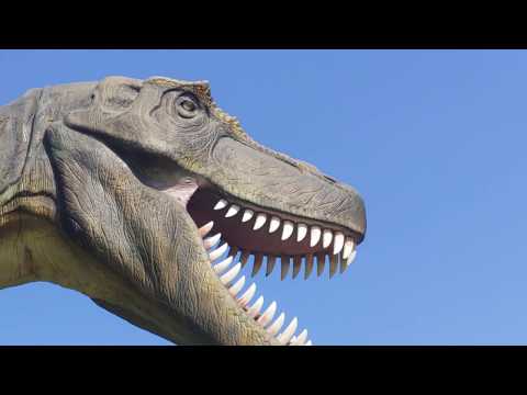 Carowinds- Dinosaurs Alive Final Walk-through 6/17/19