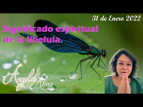 Spiritual meaning of the dragonfly