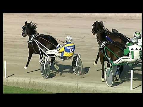 Trotto 12/01/2021 - 3ª corsa