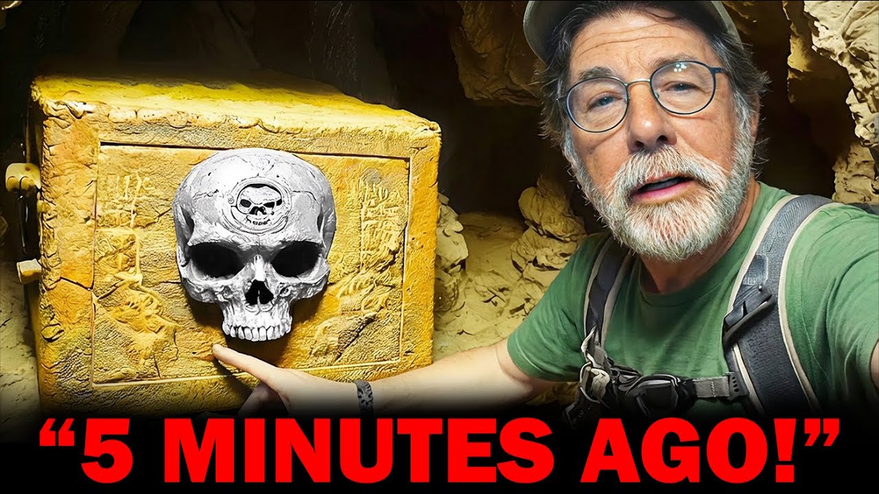 YouTube Thumbnail Downloader FULL HQ IMAGE