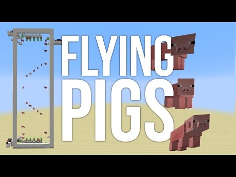 Flying Pigs in Minecraft?! Zero Gravity Invention