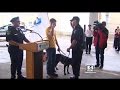 MBTA Reunites Marine And Bomb-Sniffing Dog He Served With