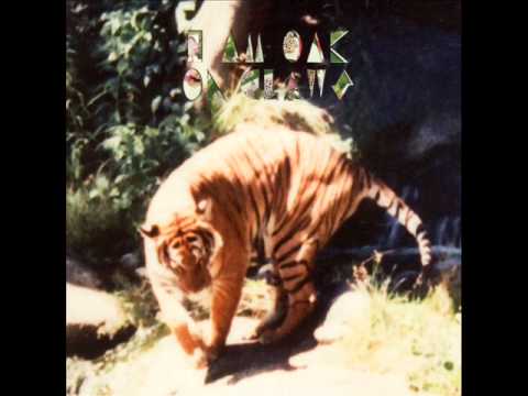 Video thumbnail for Don't I Know Enough