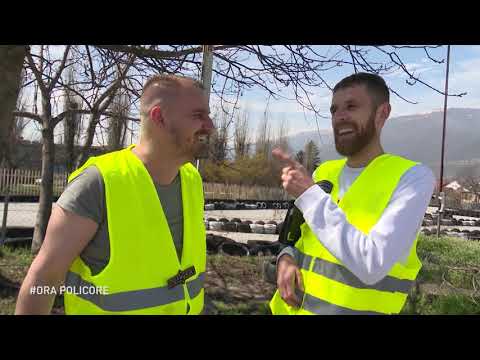 Emisioni humoristik HITHRAT - 10 Prill 2021