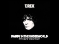 T. Rex - Teen Riot Structure 