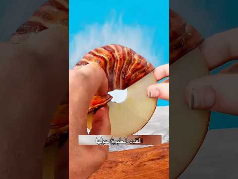 وافل التفاح مع لحم المقدد