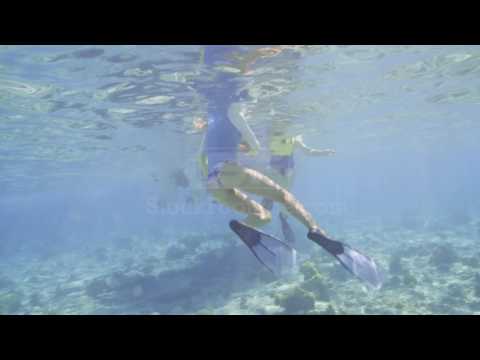 Medium low angle view of woman and girl snorkeling in ocean