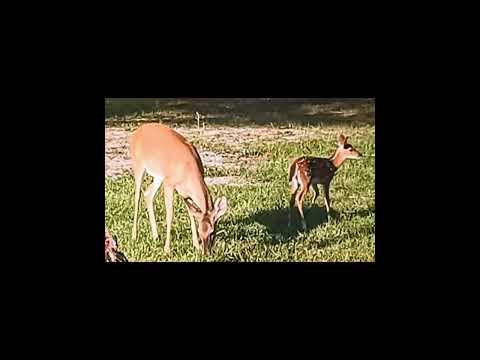 All the moms can relate 😆