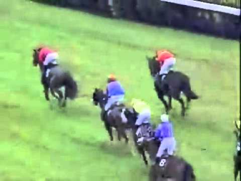 20101113 IPOH MAIDEN (4YO) 1200M (LC) - HAPPY FRIENDS (YS Lim)