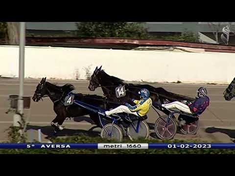 Aversa trotto 1 Febbraio 2023 - 5° Corsa