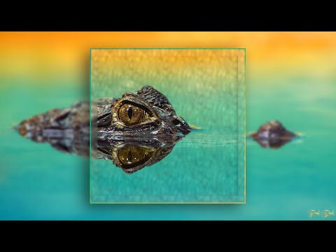 [FREE] "Croco"🐊 SCH X PLK Type Beat - 2022