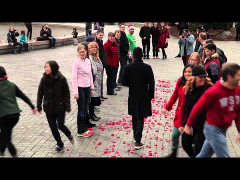 Ronniel & Dustin's Marriage Proposal Flash Mob