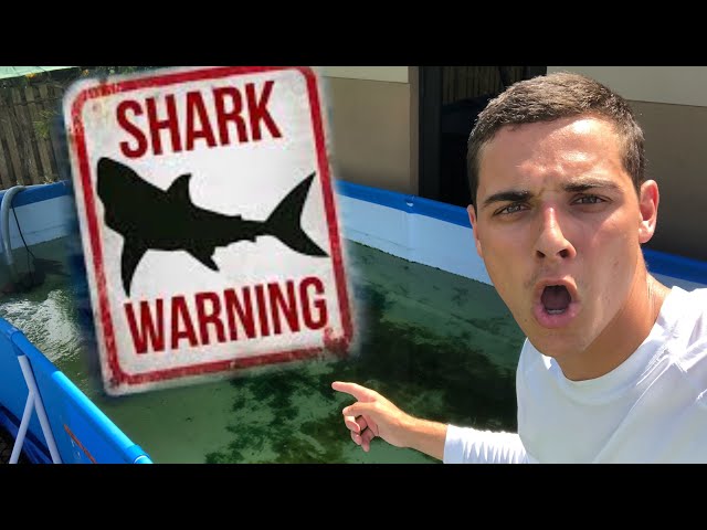 JAWS ATTACKED ANOTHER FISH!!