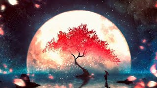 Download lagu Tum Hi Ho Bandhu- Cocktail HQ (lofi reverb)✨✨ mp3 Download lagu Tum Hi Ho Bandhu- Cocktail HQ (lofi reverb)✨✨ mp3