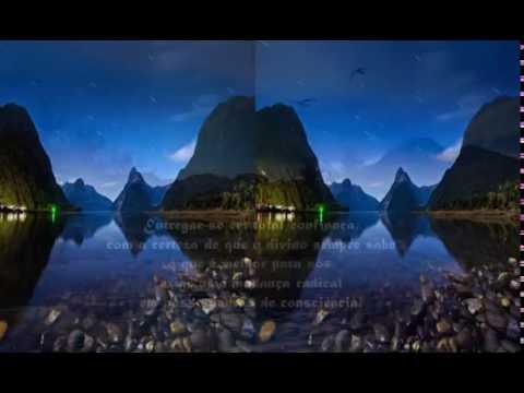 A coerência da vida