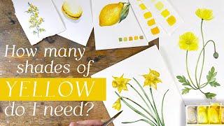 Simplifying Your Watercolour Palette. How Many Yellows Are Enough?