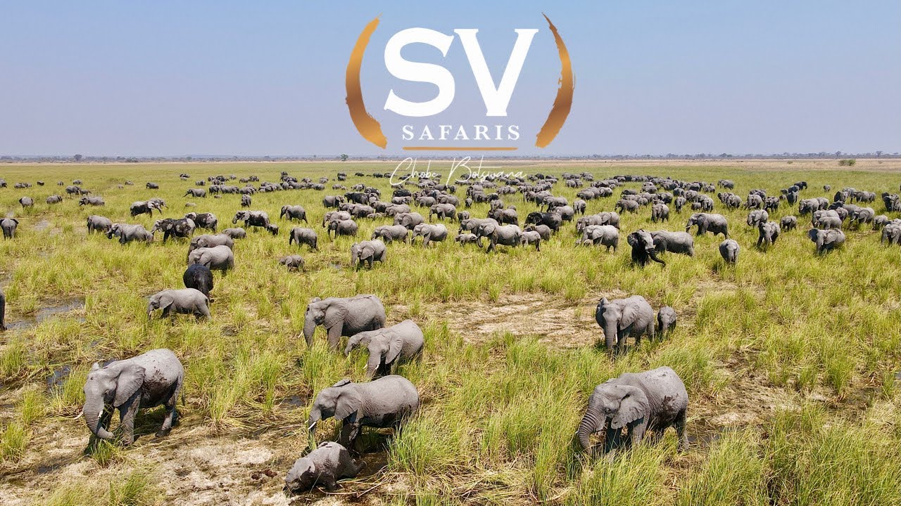 SV Safaris - Botswana