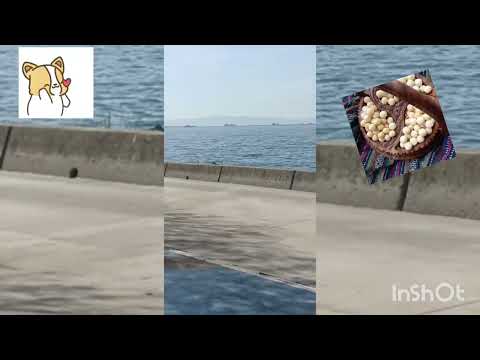 sea Marmara beach 🏖️🏖️🏖️