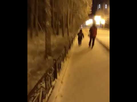 Видеофакт: В парке в Якутске поселилась чернобурая лиса Видеофакт: В парке в Якутске поселилась чернобурая лиса