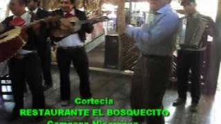 preview picture of video 'Nuevo CARNIC, Daniel Nuñez. Restaurante el Bosquecito Camoapa Nicaragua'