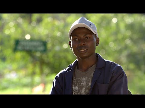 Shamba Shape Up Sn 13 - Ep 5:Avocado - Phytophthora root rot disease & Nursery Construction(English)