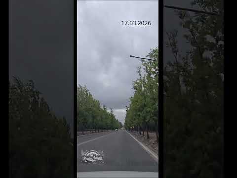 Bajo un cielo de plomo el recorrido por Av. Libertador y la belleza serena del Parque San Martín Mza