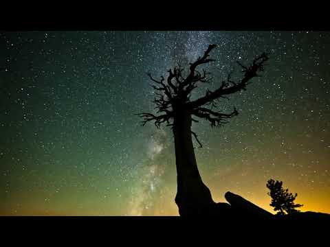 Sari sirun yar ( REMIX )