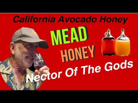 California Avocado Honey