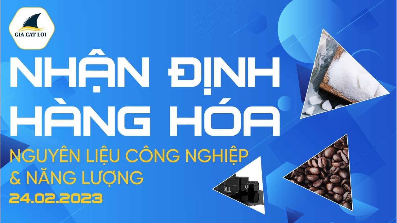 Nhận Định Thị Trường Năng Lượng & Nguyên Liệu Công Nghiệp Ngày 24/02/2023
