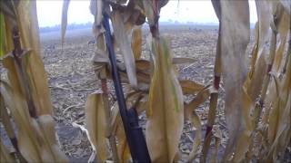 Goose Hunting 2013 GoPro - 11 Shot - Teach me your ways Goose-Masta