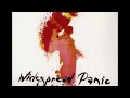 Widespread Panic   Fishing