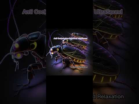 5 hours Ultrasonic Sound || Anti Cockroaches || Repellent Sound || Beetle and Insects