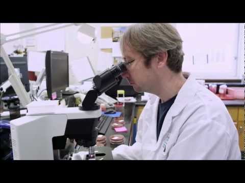 CSMLS National Med Lab Week Commercial - Our Focus Is You