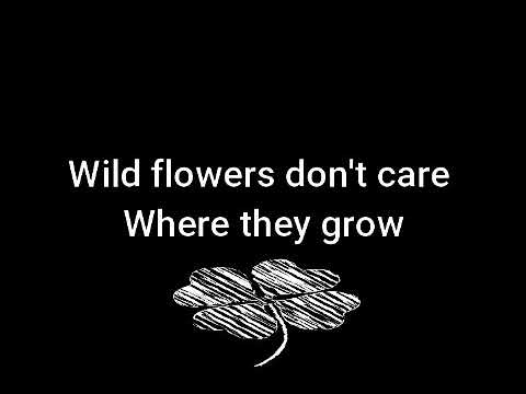 NUNUI - Wild Flowers (cover)