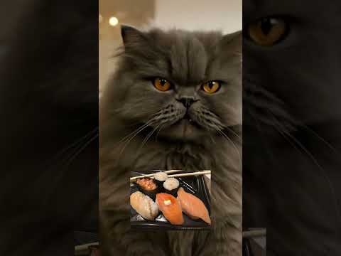 Eloise Playz and 5 more