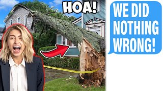 HOA Hired Company To Illegally Cut MY Tree! It Destroyed My House!