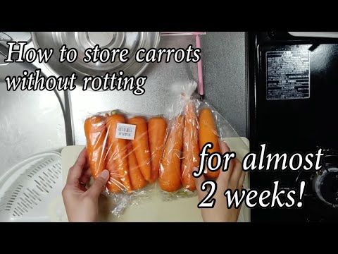 download lagu mp3 mp4 How To Store Carrots In The Fridge, download lagu How To Store Carrots In The Fridge gratis, unduh video klip How To Store Carrots In The Fridge