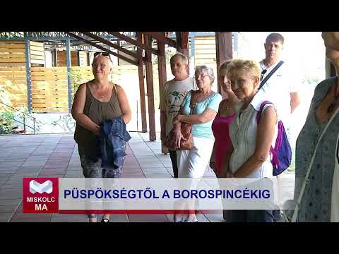 Videó előnézet