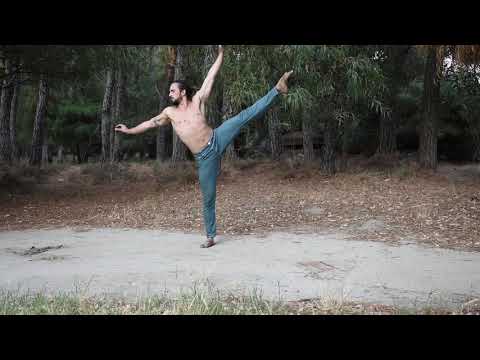 Marco Gualtieri PERFORMER