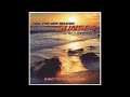 Ron Van Den Beuken Sunset D SKY Remix