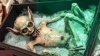 What They Discovered Frozen In Ice Shocked The Whole World